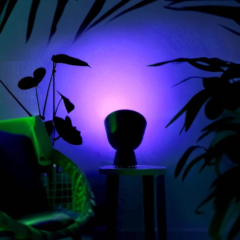 150-Watt Equivalent PAR38 Multi-Color 9000K Wi-Fi LED Light Bulb Works W/Alexa/Hey Google/Homekit Tunable White(12-Pack)